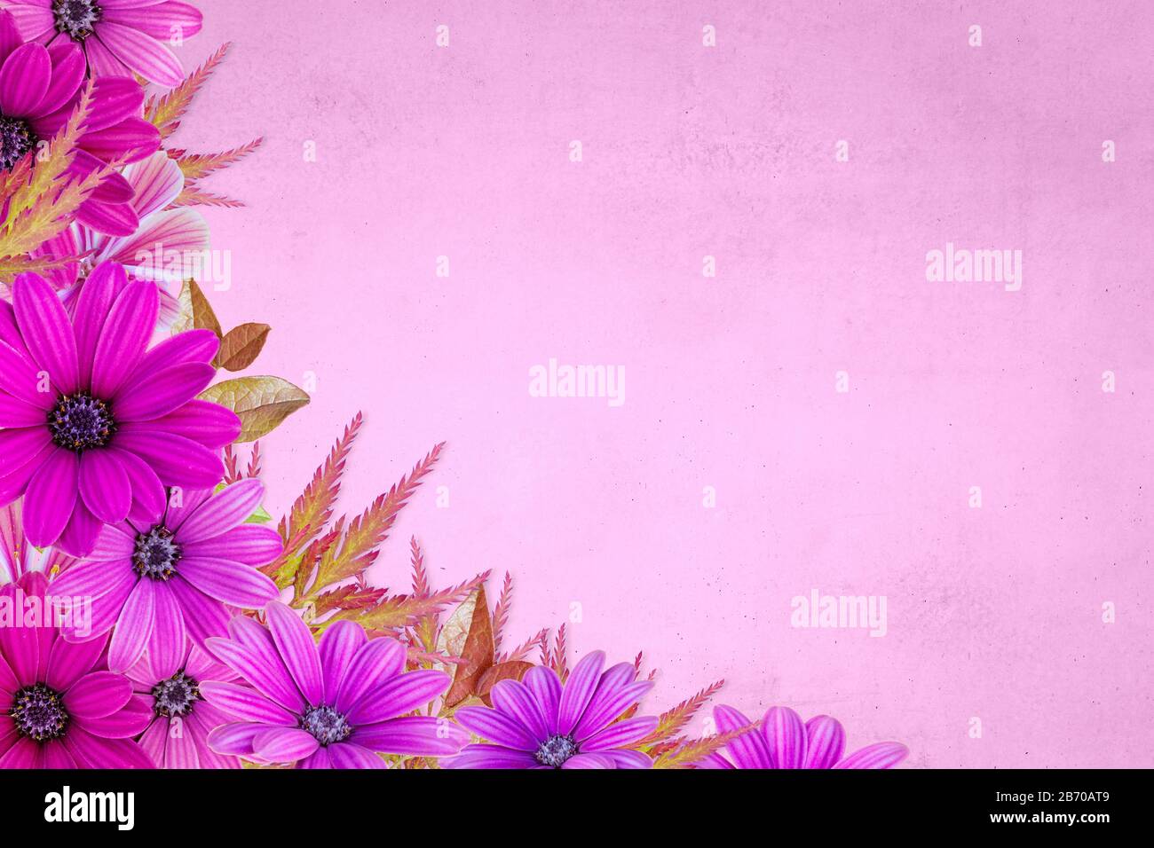 Blumenmuster mit rosafarbenem Blumenrand auf pinkfarbenem Hintergrund. Blumenhintergrund Springtime Stockfoto