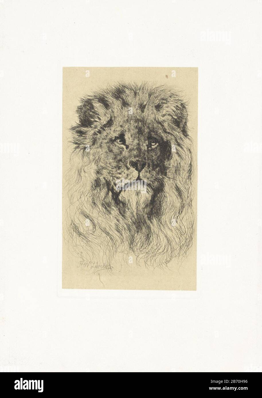KOP van een leeuw Kopf eines Löwenobjekttyps: Bild Artikelnummer: RP-P-1898-A 21467L Aufschriften / Marken: Sammlermarke, Verso, gestempelt: Lugt 2228 Hersteller: Druckmaschine: Frederik Willem Zürcher (Listed Property) Ort Herstellung: Amsterdam Dating von 25-1894 Physikalische Merkmale: Ätzung auf Chine-Collé-Material: Papier-Collage: Collé: Collé: Ätzmaße: Plattenkante: H 249 mm × W 149 mm Betreff: Raubtiere, Raubtiere: Löwe Stockfoto