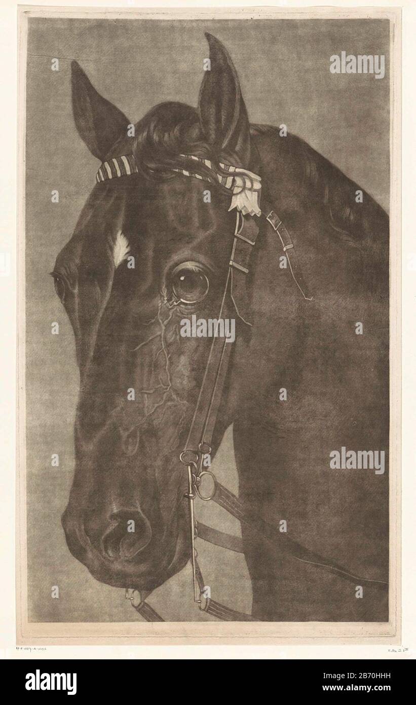 KOP van een Paard met een hoofdstel Kop van een Paard met een hoofdstel Objektart: Prent Objectnummer: RP-P-1887-A-12152Catalogusreferentie: Feltz J.1 Inscriptions / Merkens: Sammlermarke , Verso, gestempelt: Lugt 2228 Hersteller : Prentmaker: James Hodkenij dating: 1796 Hodkenij van en: 1796 Mezzotinmaterial: Papier Techniek: Mezzotinmaße: Plaatrand: H 748 mm × b 454 mm Betreff: Pferd Stockfoto