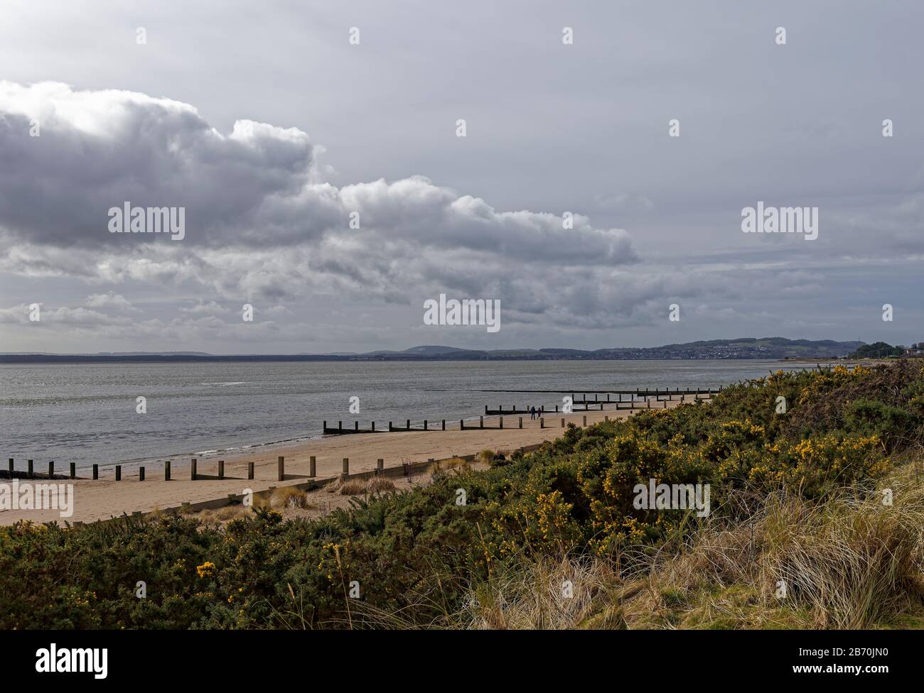 Monifieth Beach mit seinen Holzgroynes, die in die Tay-Flussmünde an der Ostküste Scotlands blicken. Stockfoto