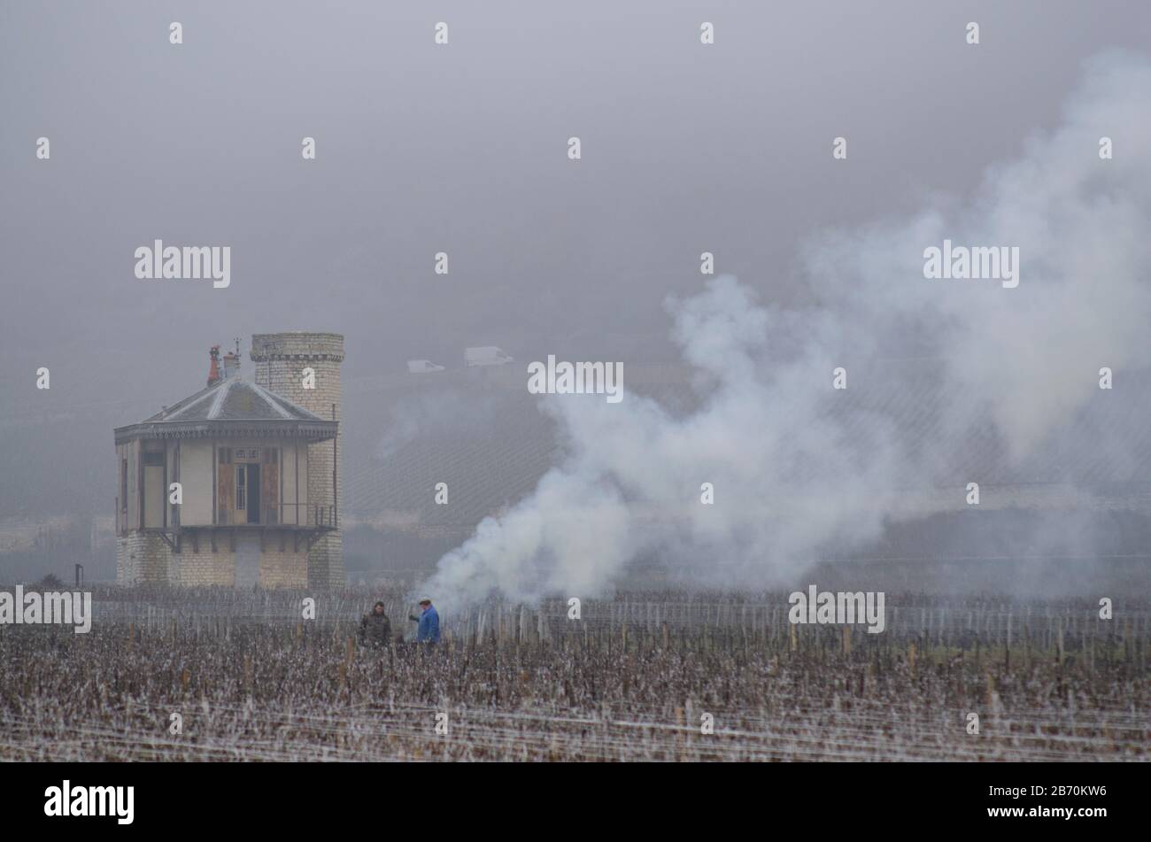 Brennende Rebschnitte in Nuit St Georges, Cotes d oder, Burgstall, Frankreich mit Rauch und Bränden. Stockfoto