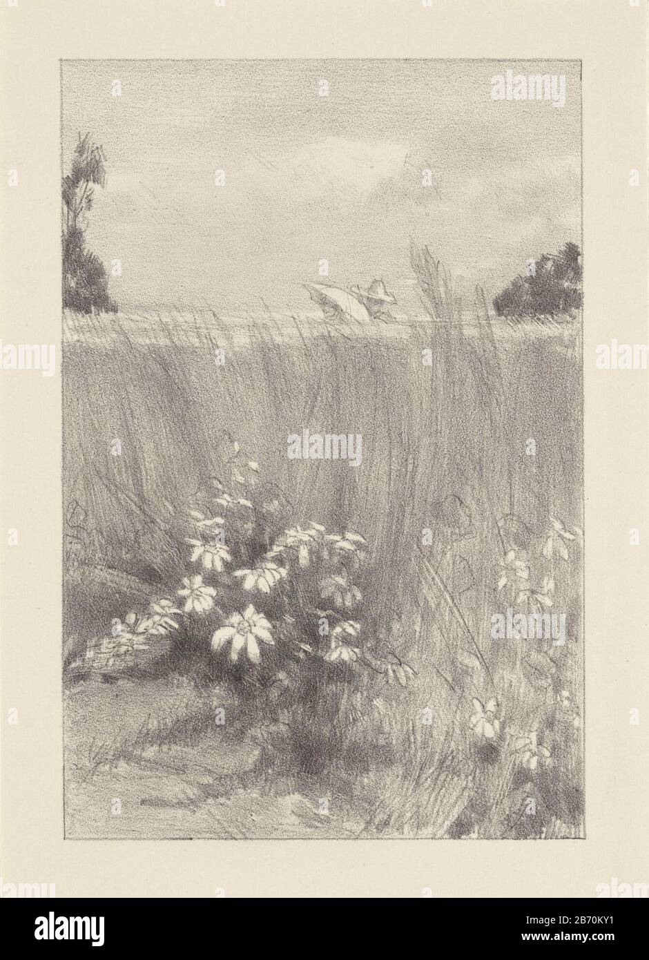 Korenveld bij Rome EIN Kornfeld spazieren einen Mann und eine Frau. Ihr Regenschirm und der Hut erstechen über dem Boden der UIT. Hersteller : Druckmaschine: August Allebénaar Gemälde: JAC van Looij Herstellung: Druckmaschine Amsterdam zum Malen: Niederlande Datum: 1906 und / oder 1848 - 1927 Physikalische Merkmale: Chalk lithographisches Material: Papiertechnik: Chalk lithographiemaße: Oberfläche: H 185 mm × W 133 mm Betreff: Feld gefüllt mit einer Ernte Regenschirm Landschaften (+ Landschaft mit Figuren, Mitarbeiter) Wo: Latium Stockfoto