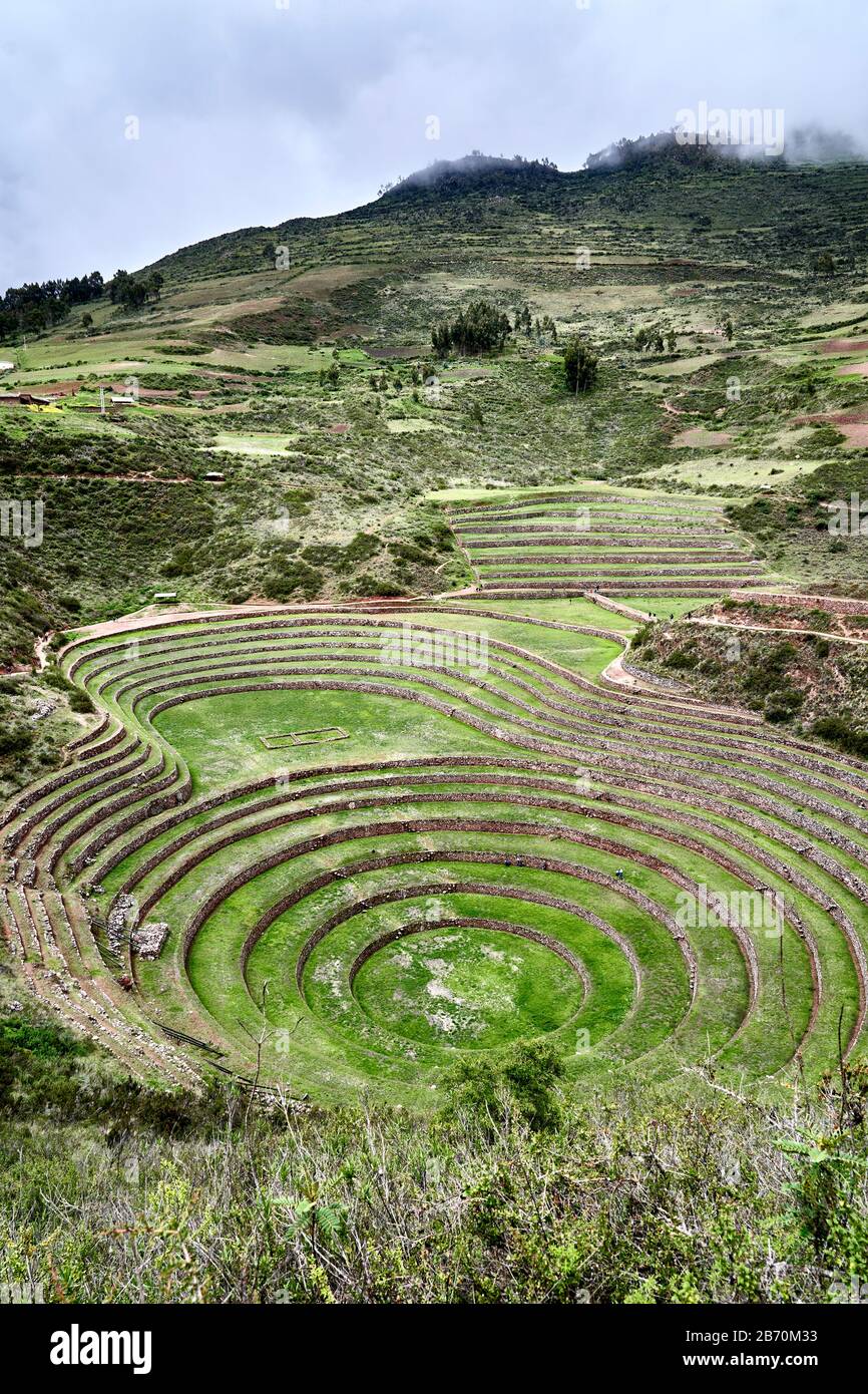 Die Inka-Terrassen in Moray, Peru. Stockfoto