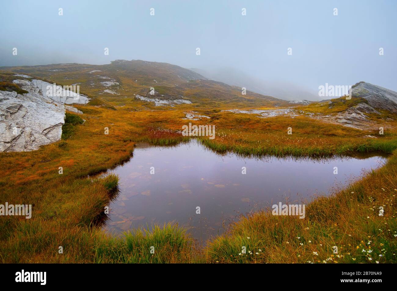 Wilde Szene oben auf dem S Bernardino Pass, Soth von Frankreich Stockfoto