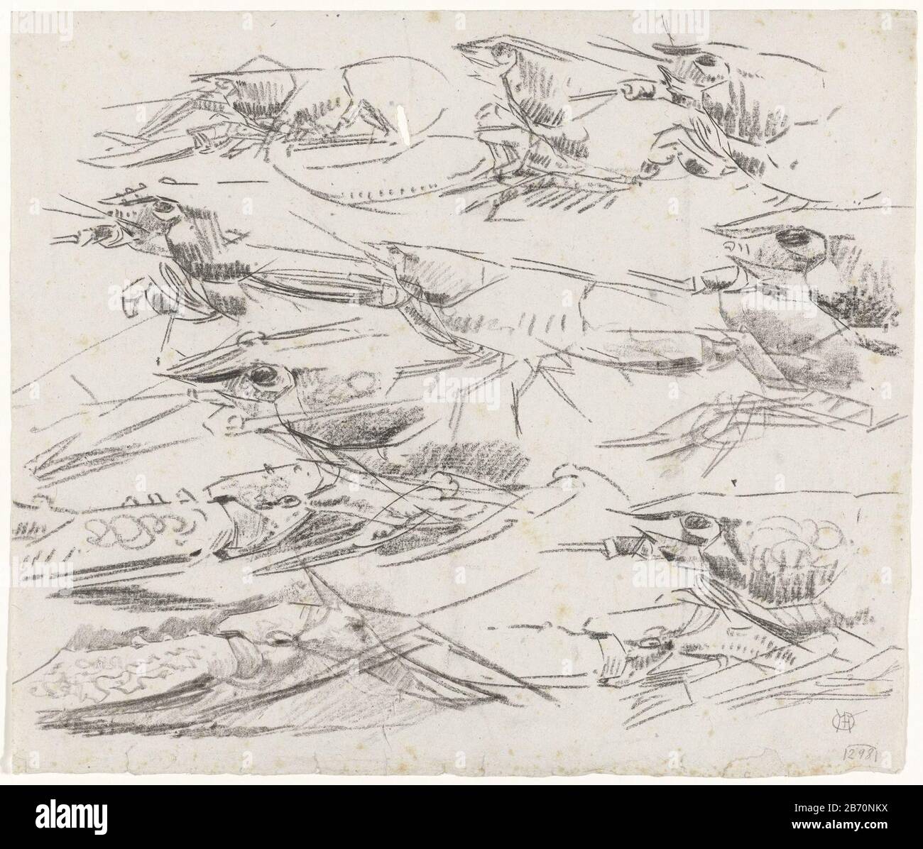 Kreeften Cancer Object Type: Drawing Object Number: RP-T 1969-764 Manufacturer: Artist: Gerrit Willem Dijsselhof Datum: 1876 - 1924 Physikalische Merkmale: Schwarzes Kreidematerial: Papierkreidemaße: H 273 mm × W 320 mm Betreff: Krustentiere: Hummer Stockfoto
