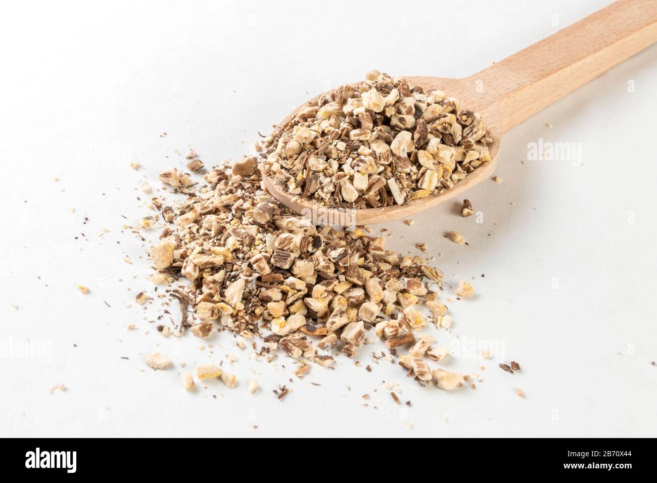 Löwenzahnwurzel oder in lateinischer Taraxaci-Radix in Holzlöffel isoliert auf weißem Grund Heilkräuter. Kräutermedizin. Alternative Medizin Stockfoto