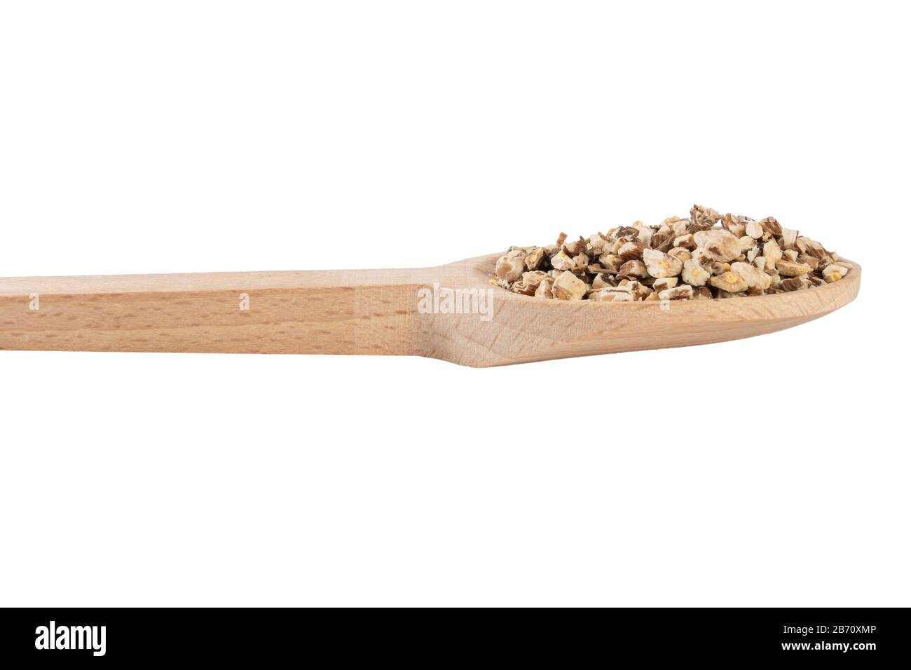 Löwenzahnwurzel oder in lateinischer Taraxaci-Radix in Holzlöffel isoliert auf weißem Grund Heilkräuter. Kräutermedizin. Alternative Medizin Stockfoto