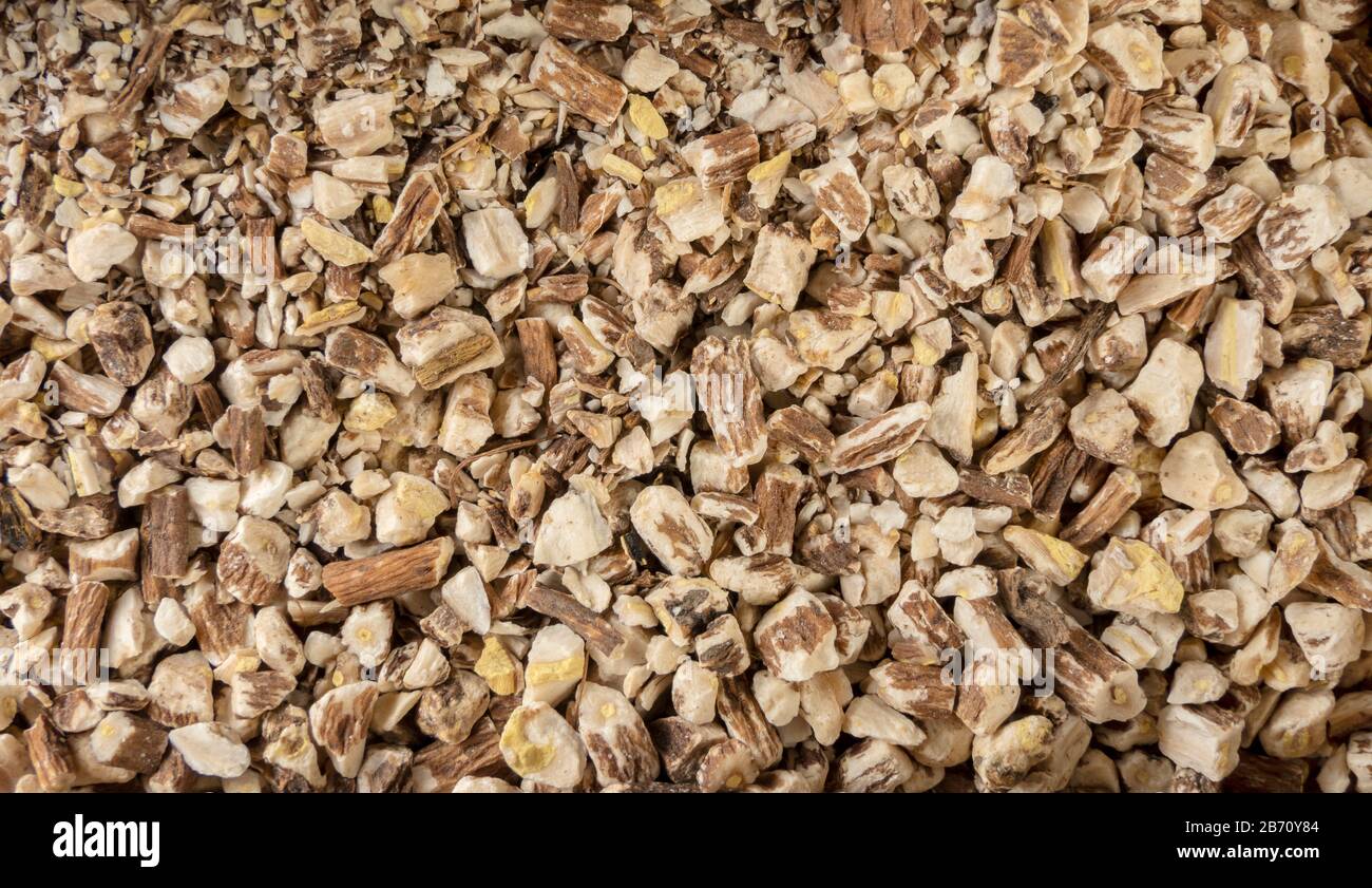 Löwenzahnwurzel oder in lateinischem Taraxaci-Radix-Hintergrund. Heilkräuter. Kräutermedizin. Alternative Medizin Stockfoto