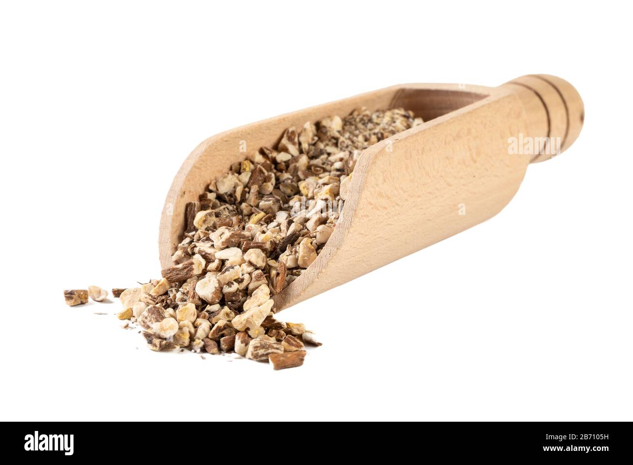 Löwenzahnwurzel oder in lateinischer Taraxaci-Radix in Holzschaufel isoliert auf weißem Hintergrund Heilkräuter. Kräutermedizin. Alternative Medizin Stockfoto