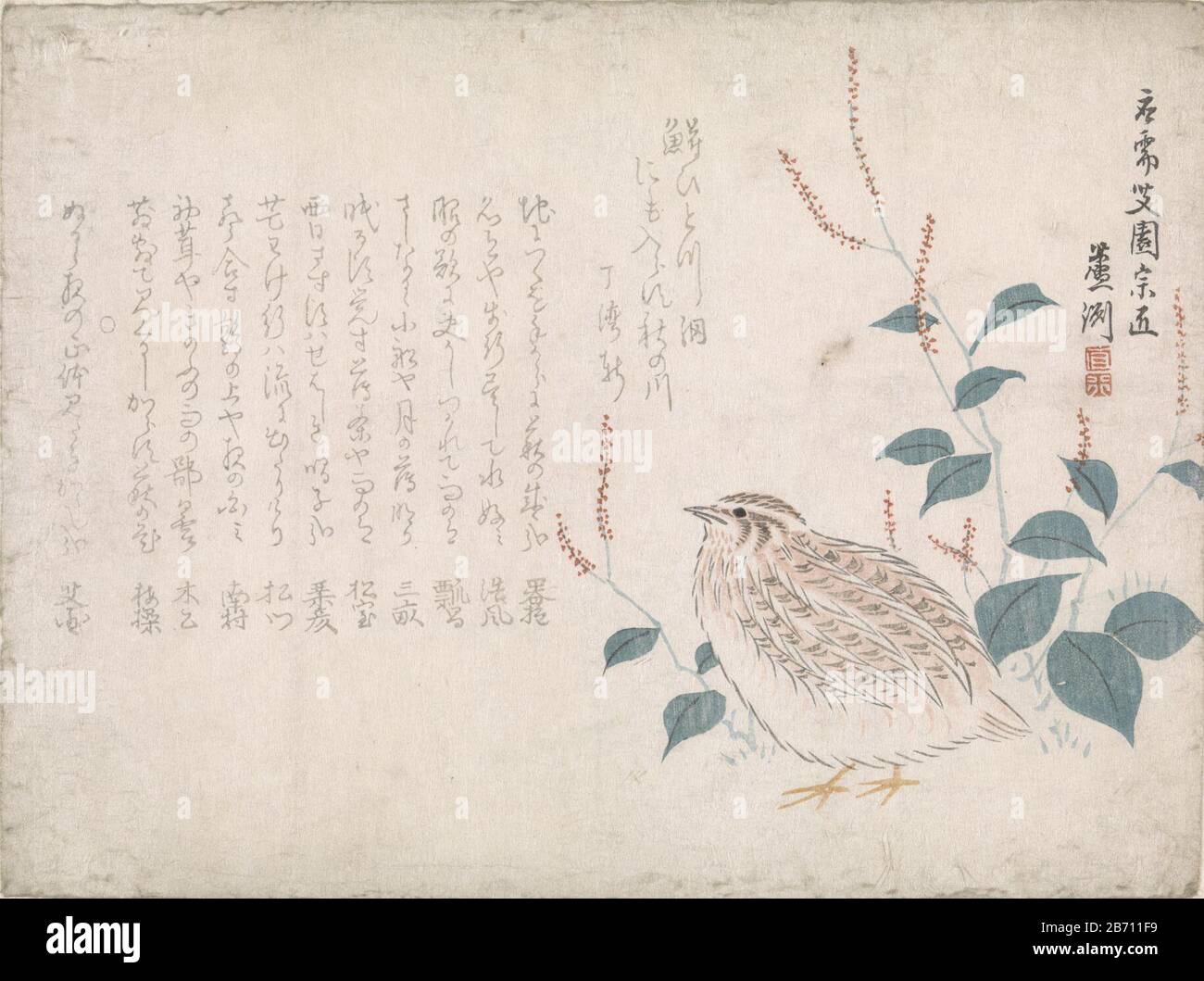 Kwartel EIN Wachtel vor dem Hintergrund von Gras und Blumen. Surimono im Shijo-Stil mit mehreren gedichten. Hersteller : Druckerhersteller: Chokko Roshu (denkmalgeschütztes Gebäude) Dichter Kaien (denkmalgeschütztes Eigentum) Ort Herstellung: Japan Datum: 1864 Physikalische Eigenschaften: Farbholzschnitt; Strichblock in Schwarz mit Farbblöcken Material: Papiertechnik: Farbholzplatte Abmessungen: Blatt: H 192 mm × W 256 mmToelichtingEen surimono ist ein luxuriöser Druck, Bei Dem: Auf dem Bild ist mit einem oder mehreren Gedichten kombiniert. Wenn der Druck eines Surimonos häufig verwendet wurde, besteht er aus dickeren Papier-, Präge- und Metallpigmenten, wie z. B. Stockfoto