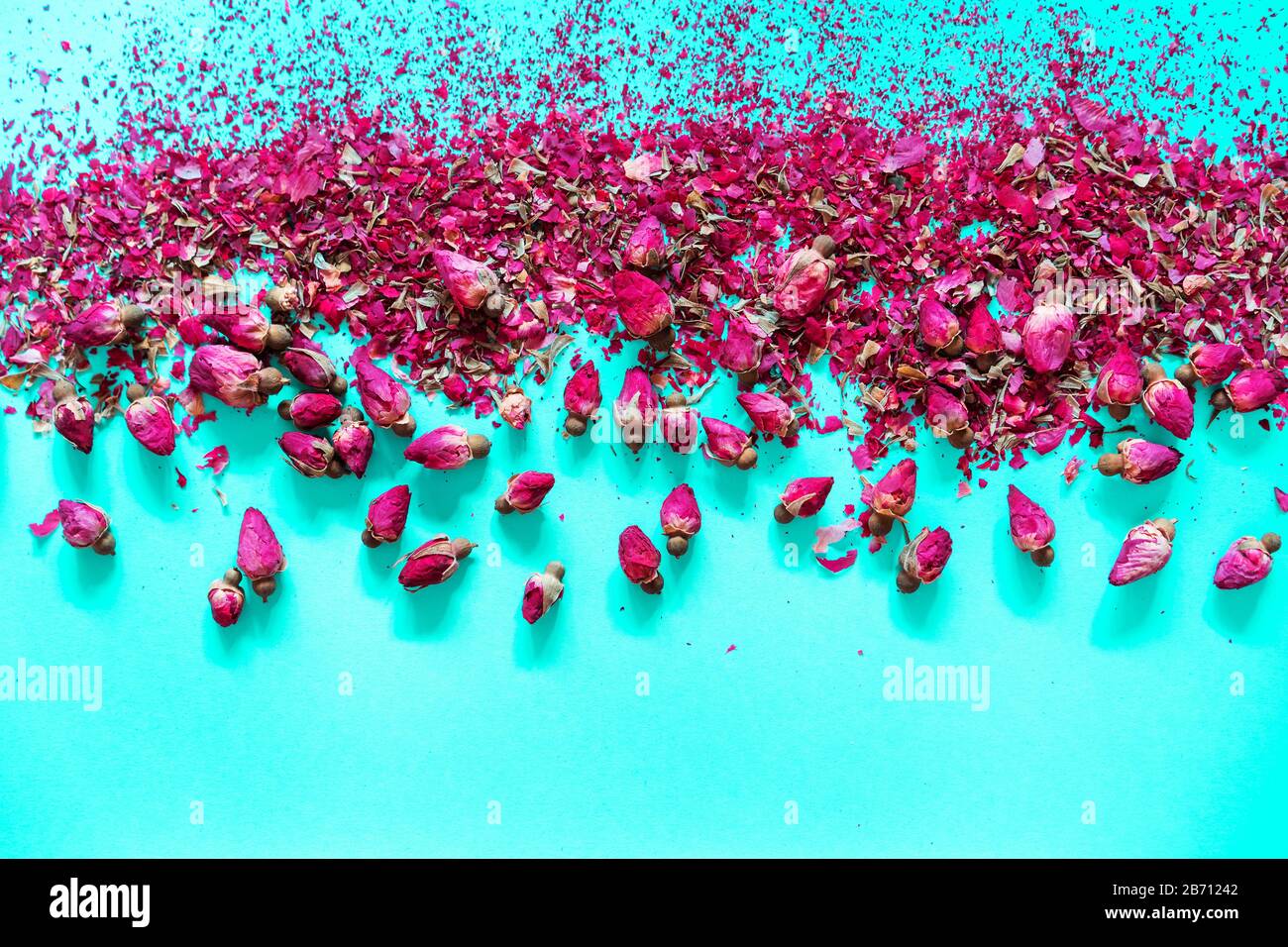 Kronblätter und Knospen von getrockneten pinkfarbenen Teerosen auf Pastellgrund Stockfoto