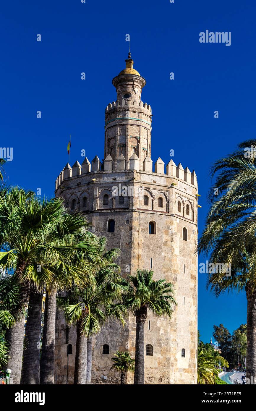 Torre del Oro - mittelalterlichen Wachturm aus dem 13. Jahrhundert und heute Aussichtsterasse und Marinemuseum, Sevilla, Andalusien, Spanien Stockfoto