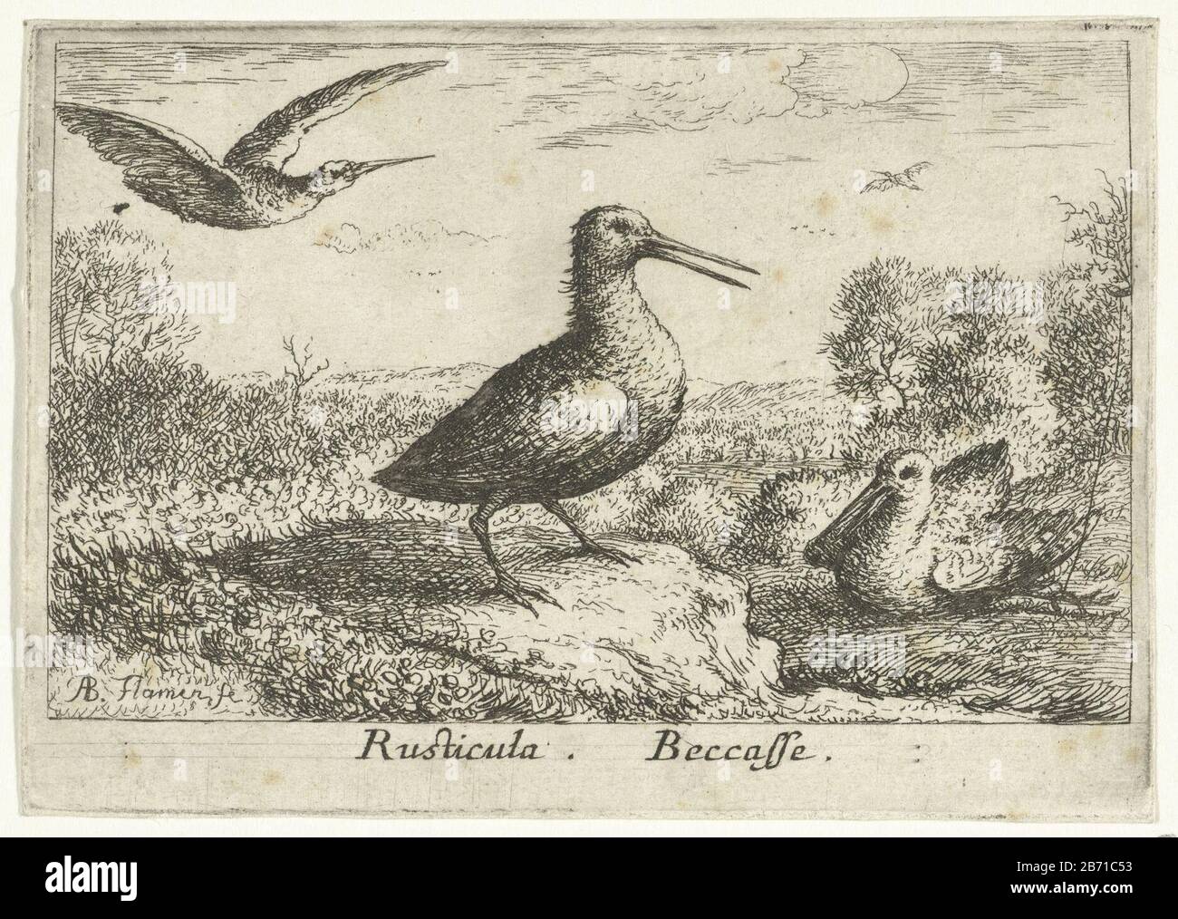 Landschap traf Drie snippen Rusticula Beccasse (titel op object) Dertien vogelsoorten (serietitel) Diuersae Auium Specie (serietitel) Landschaft mit drei SnippenRusticula. Beccasse. (Titelobjekt) Dreizehn Arten (Serientitel) Diuersae Auium Specie (Serientitel) Eigenschaftstyp: Serieller Druck: / 13Objektnummer: RP-P-1947-135Katalogogusreferentie: Robert-Dumesnil 401-1 (3) Der Illustrierte Bartsch 75-1 (2) Markierungen / Marken: Sammlermarke, verso, gestempelt: Albert Granlugt: Privilege-Hersteller: 22print Ludwig XVI. (König von Frankreich) P Stockfoto