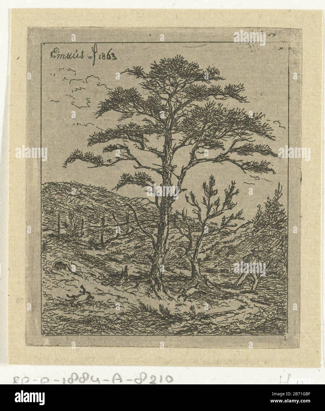 Landschap traf jager en den De den In einer Landschaft mit zwei Kiefern, betreibt hinter seinem Hund einen Jäger für einen Schuss konijn. Hersteller : Druckmaschine: Gerardus Emaus der Micault (in der Liste aufgeführte Eigenschaft) Ort Herstellung: Niederlande Datum: 1863 Physikalische Merkmale: Ätzmaterial: Papiertechnik: Ätzmaße: Plattenkante: H 80 mm × W 69 mm Betreff: Jäger jagen (Hinweis: 1988-1990 bezeichnete diese Schreibweise das Konzept des 43C11421 "Jäger während der Jagd entführen") Stockfoto