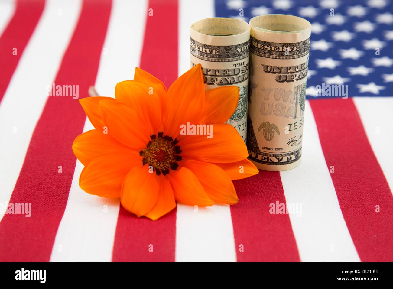 Leuchtend orangefarbene Gänseblümwährung, die auf die amerikanische Flagge gesetzt wird, spiegelt die Hoffnung auf die Stärke der nationalen Wirtschaft wider Stockfoto