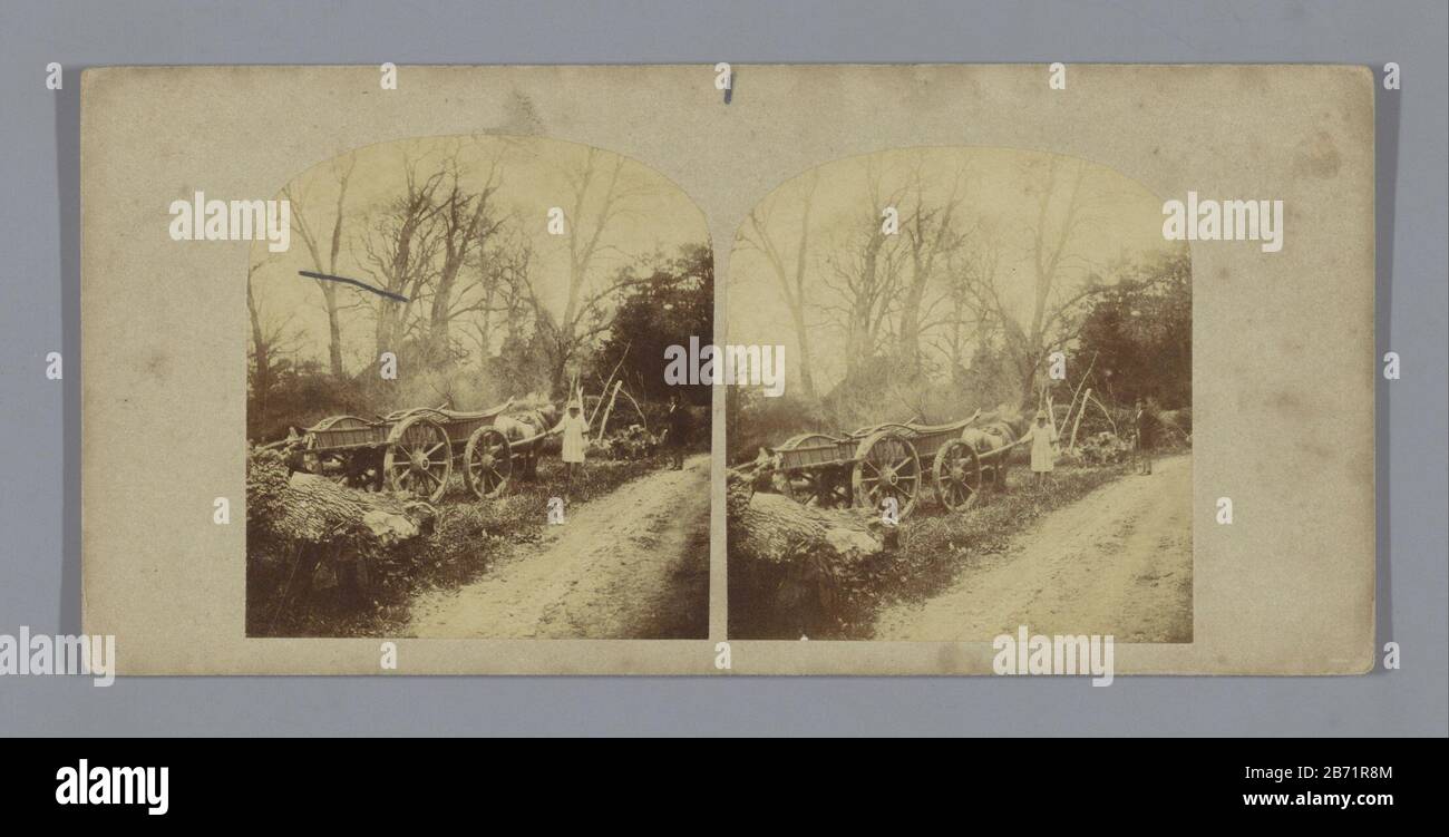 Landweg traf in unserer Dorfstraße mit einer Pferdekulissen und zwei Menschen in unserem Dorf auf die Landstraße des Bauernhofes (titel op object). Lane, die zur Farm führt (Titelobjekt) Objekttyp: Stereobild Artikelnummer: RP-F F10136 Aufschriften/Marken: Aufschrift verso, gedruckt: Englischer Text, der den Landschap.numer erklärt, verso, handschriftlicher "60"-Hersteller: Fotograf: Anonymer Standorthersteller: England dating: CA. 1850 - ca. Physikalische Eigenschaften: Albuminpapier Druckmaterial: Pappe Papiertechnik: Albumindruck Abmessungen: SECO Stockfoto
