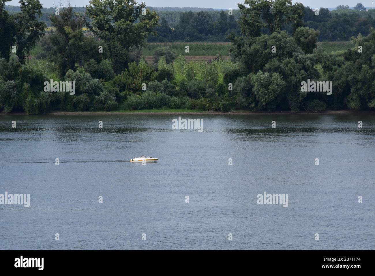 Ein Sportboot fährt auf der Donau. Üppiges Grün und Natur im Hintergrund Stockfoto