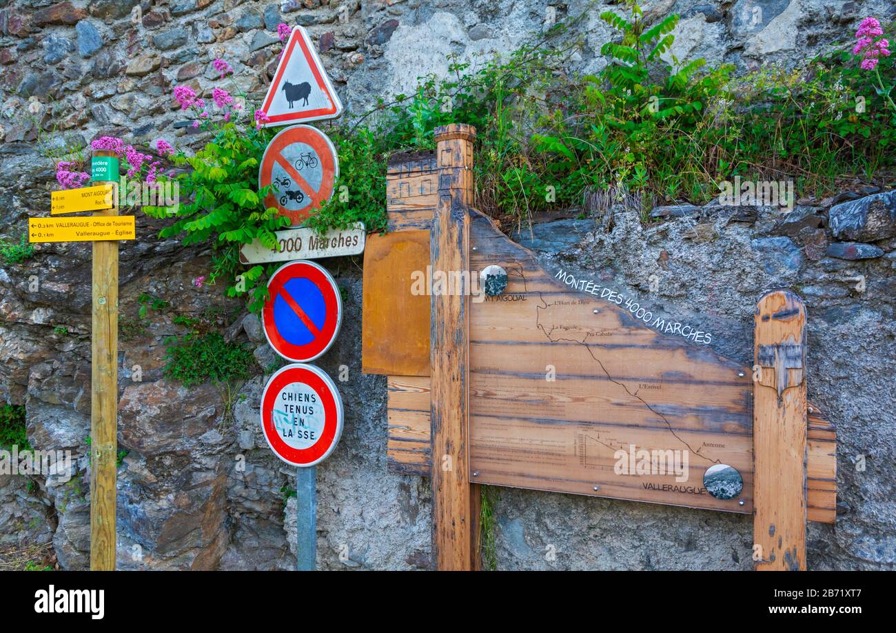 Frankreich, Valleraugue, Parc National des Cevennen, 4000 Stufen ist ein legendäres Fußrennen von Valleraugue zum observatorischen Trailaufzeichen des Mont-Aigoual Stockfoto