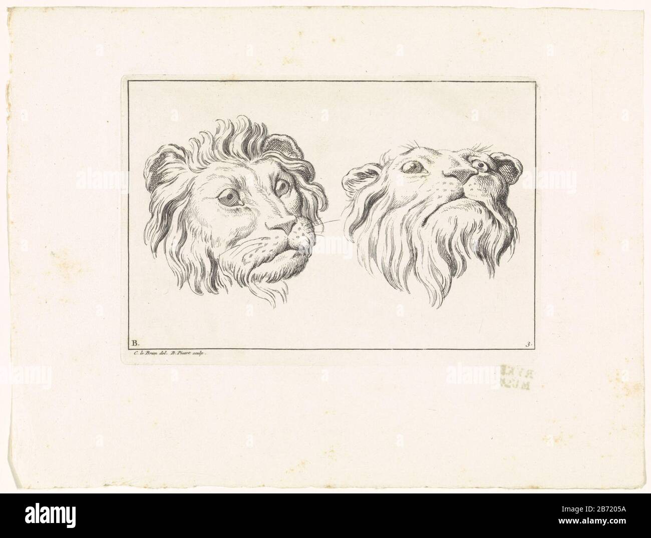 Blattlöwe und Leeuwinnenkop. Unten links markiert: B. Rechts Nummeriert: 3. Hersteller : Druckmaschine: Bernard Picart (denkmalgeschütztes Eigentum) zur Zeichnung von Charles Le Brun (denkmalgeschütztes Gebäude) Herausgeber: Bernard PicartPlaats Herstellung: Amsterdam Datum: 1729 Physikalische Merkmale: Ätzmaterial: Papiertechnik: Ätzmaße: Plattenkante: H 121 mm × W 178 mmToelichtingPrent auch als Illustration verwendet in: Berichtet die Löwen, dessinez d'apres nature par diverse Maitres. Amsterdam: Bernard Picart, 1729. Betrifft: Raubtiere, Raubtiere: Löwe (+ Kopf eines Tieres) Stockfoto