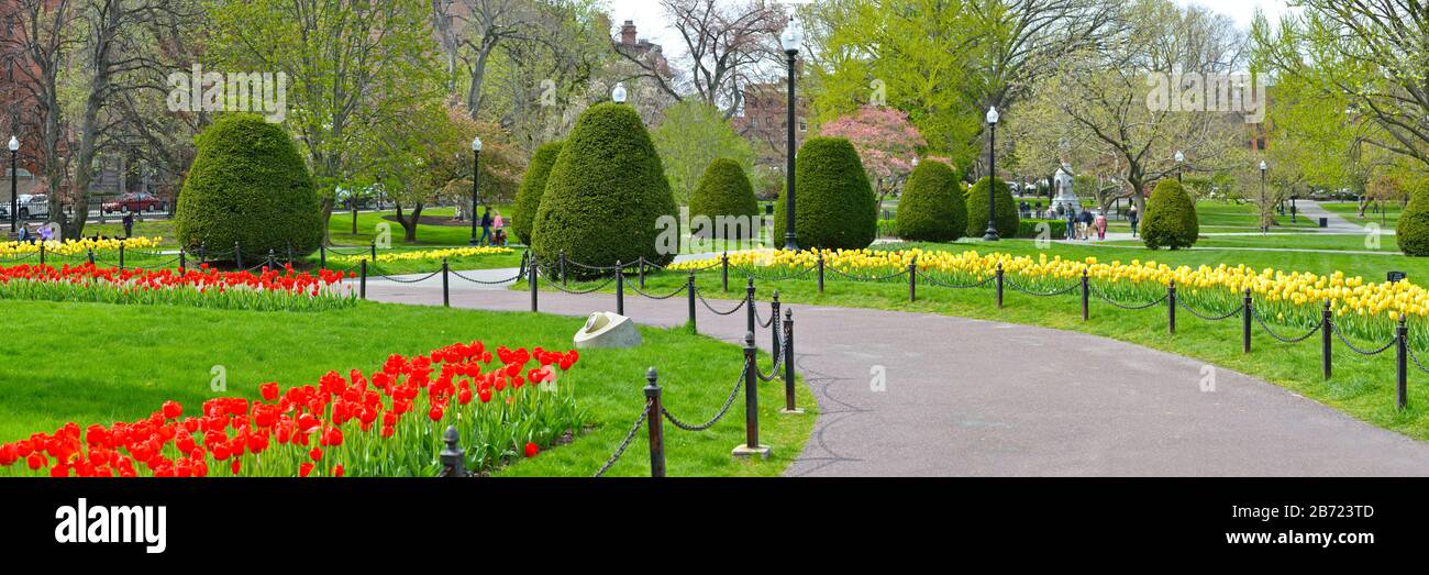 Panoramaaussicht auf das Boston Public Garden Grounds im Frühjahr. Rote und gelbe Tulpen, bunte Baumblumen, elegantes Design. Stockfoto