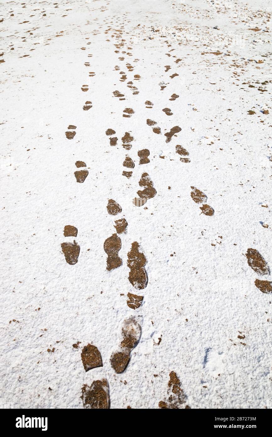 Winterhintergrund mit Fußschritten auf Schneegrund. Stockfoto