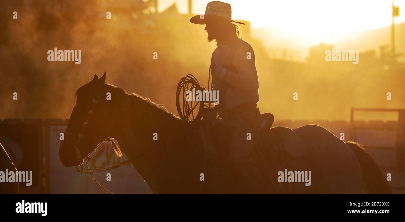 Roping Cowboy Stockfoto