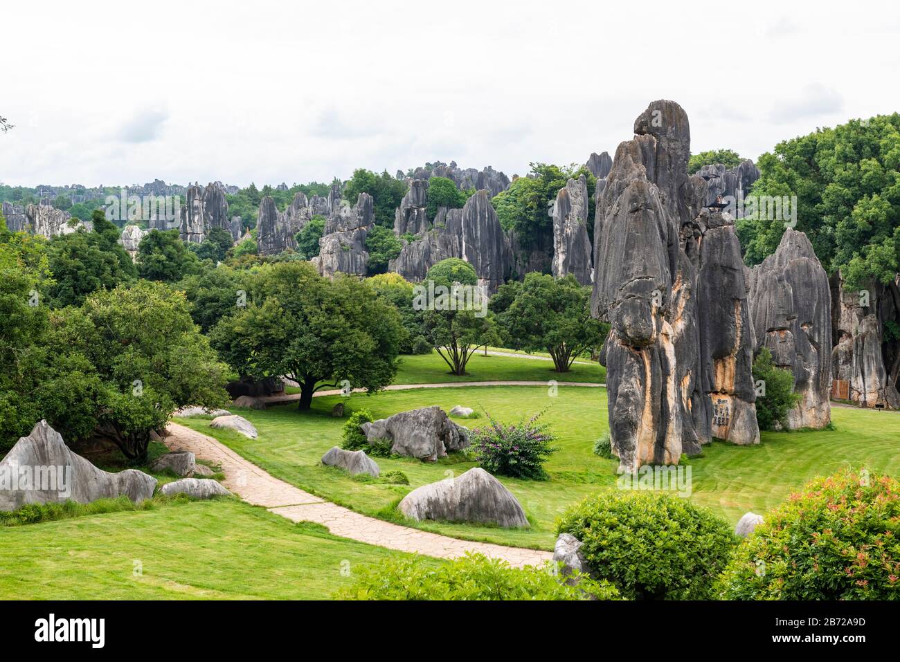 Der Steinwald in Kunming, Yunnan ist ein über 80 Hektar großes geologisches Wunder aus Kalksteinen und wurde zum UNESCO-Weltkulturerbe ernannt. Stockfoto