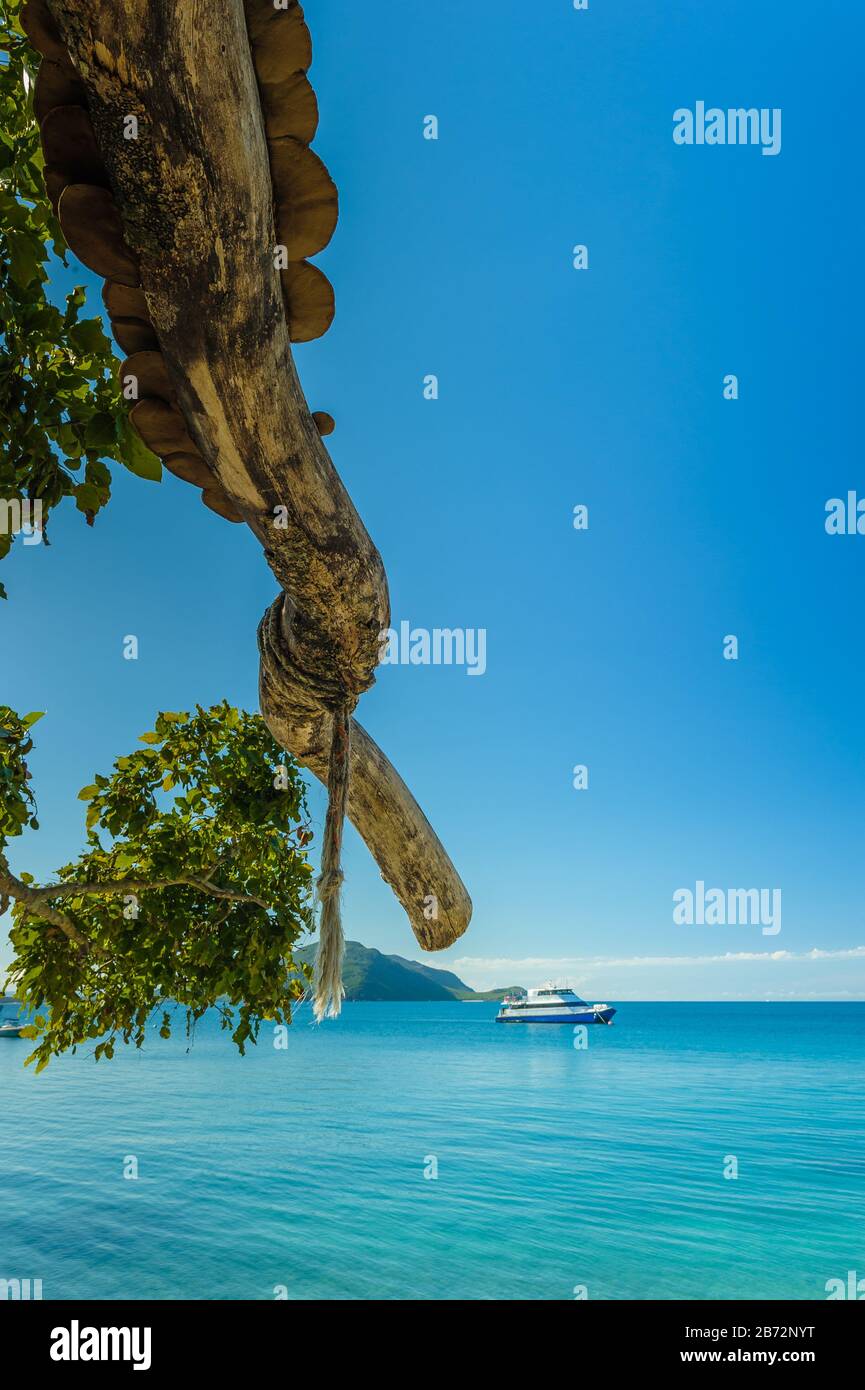Baum Extremitäten zeigen auf Boote auf dem Ozean vor dem aktuellen Resort auf der malerischen Fitzroy Island vor der Küste von North Queensland in Australien Stockfoto
