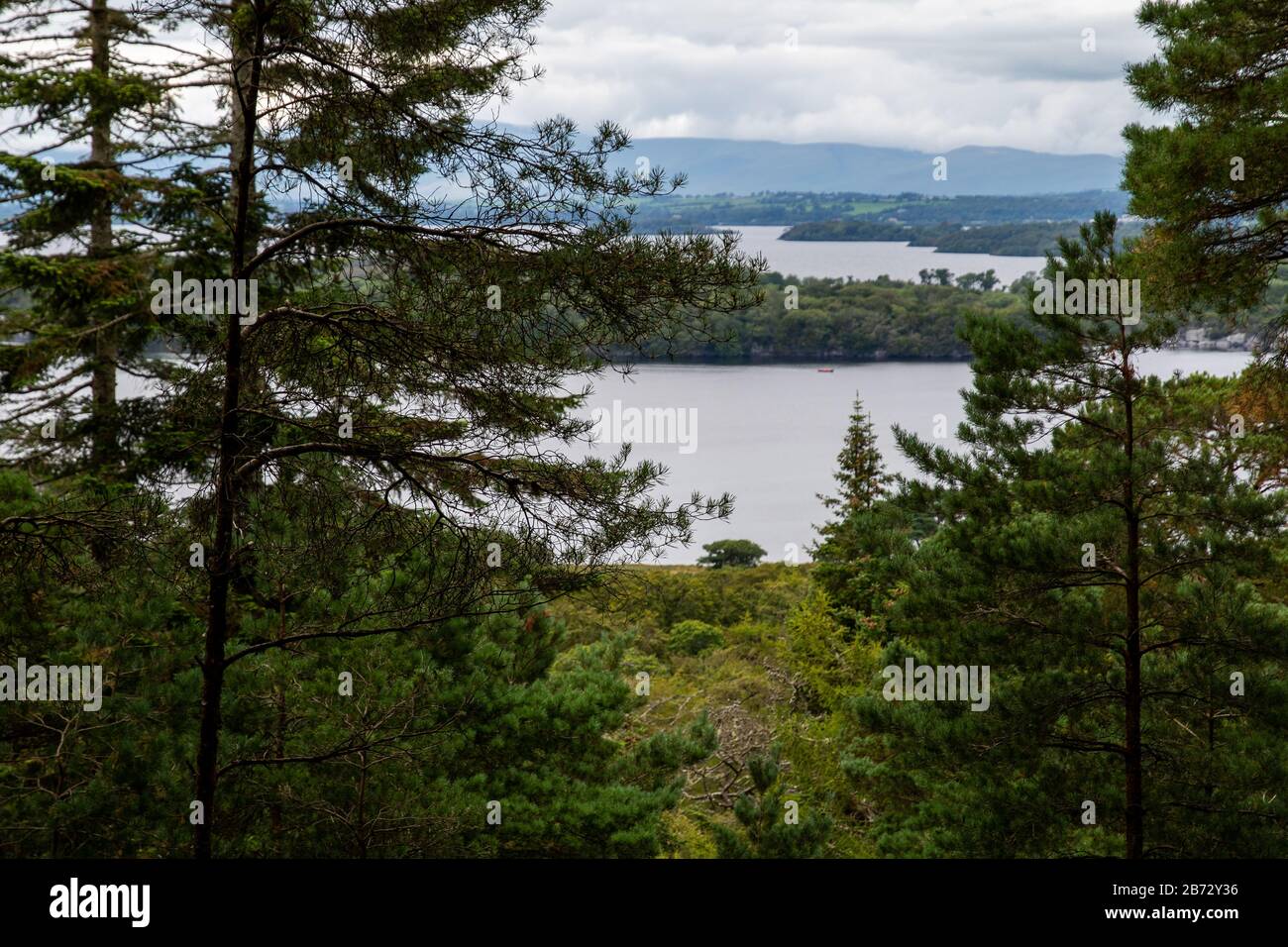 Lake Lough Leane im Killarney National Park in Irland Stockfoto