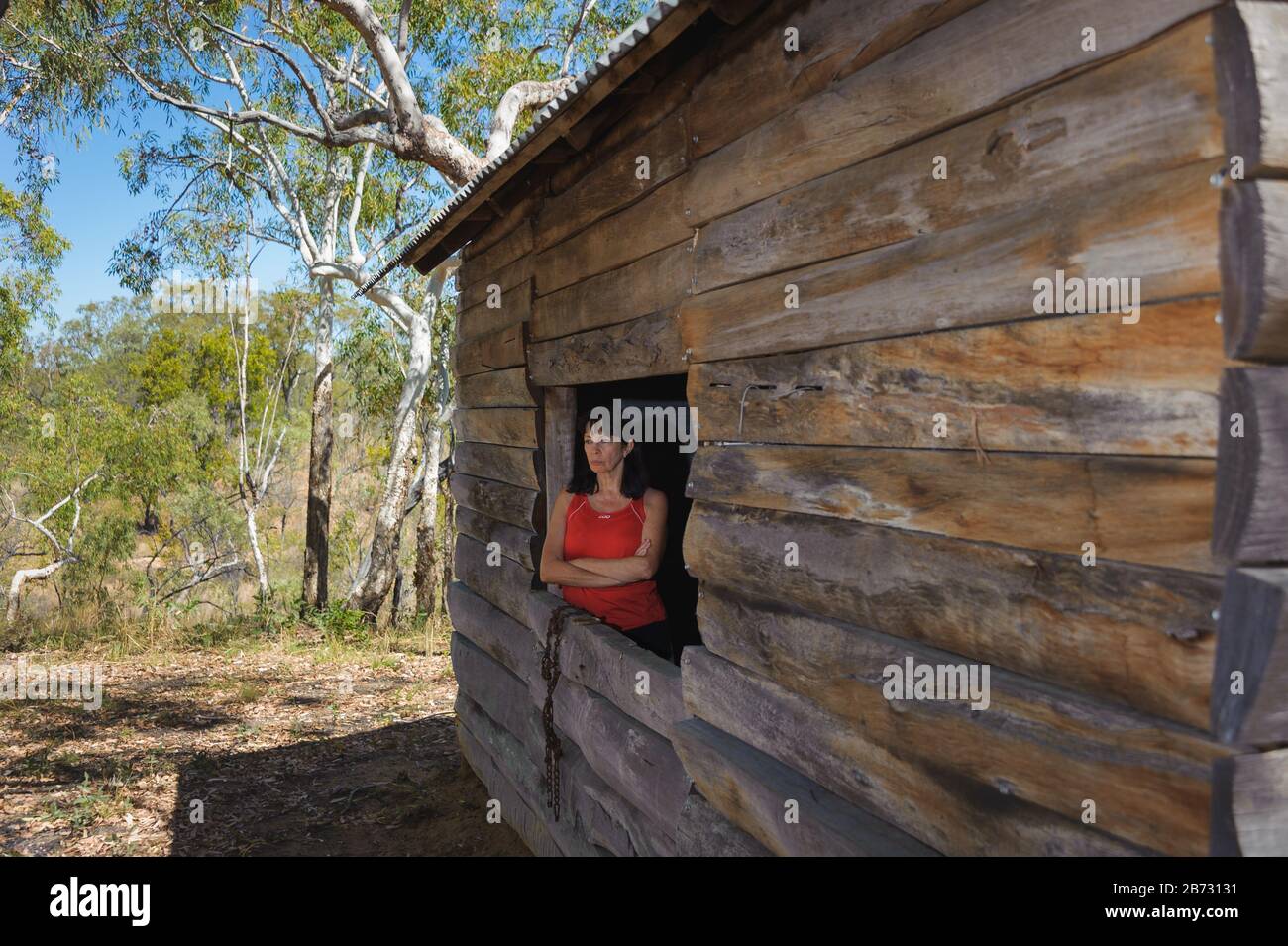 Historische Replika log Siedlerhut mit weiblichen Touristen in offenen Fensterrahmen mit Blick auf den umliegenden Wald Sclerophyll. Stockfoto