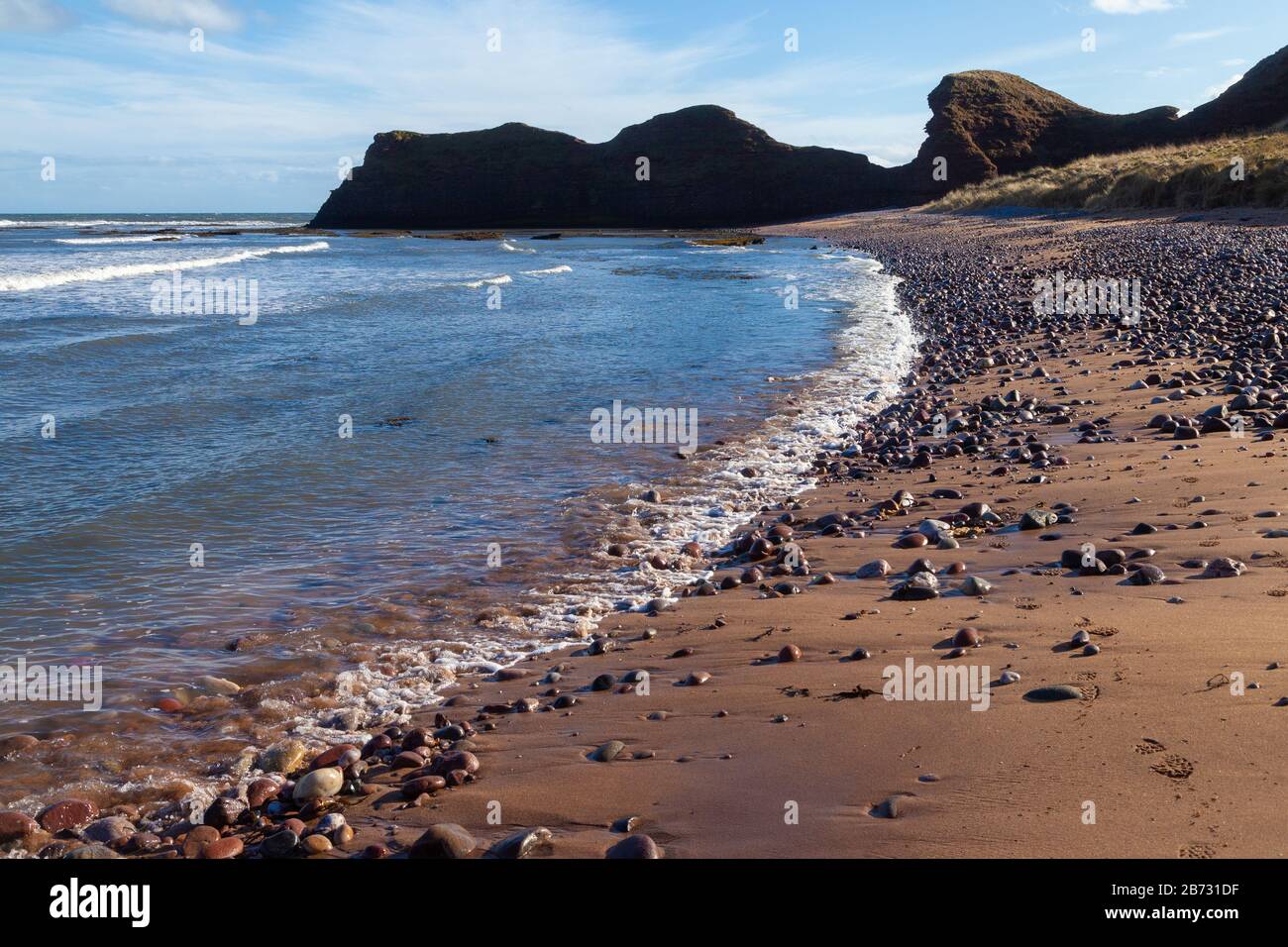 Der Angus-Küstenweg von Arbroath nach Auchmithie, Angus, Schottland Stockfoto