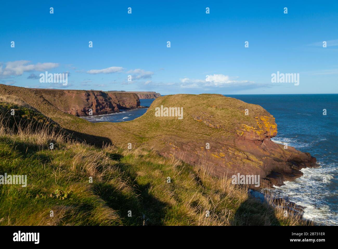 Die Felsklippen aus rotem Sandstein entlang des Angus-Küstenweges bei Arbroath, Angus, Schottland Stockfoto