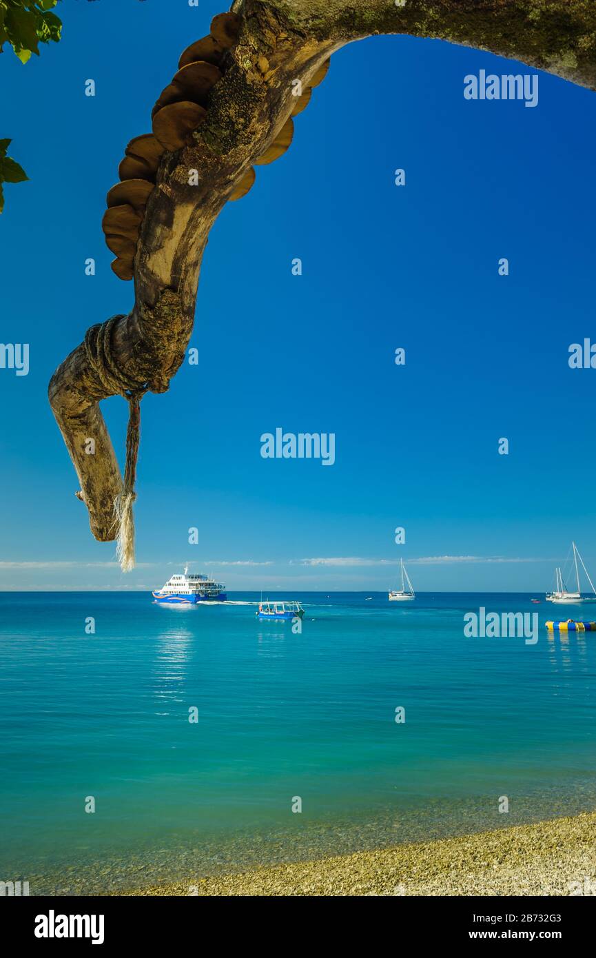 Baum Extremitäten zeigen auf Boote auf dem Ozean vor dem aktuellen Resort auf der malerischen Fitzroy Island vor der Küste von North Queensland in Australien Stockfoto