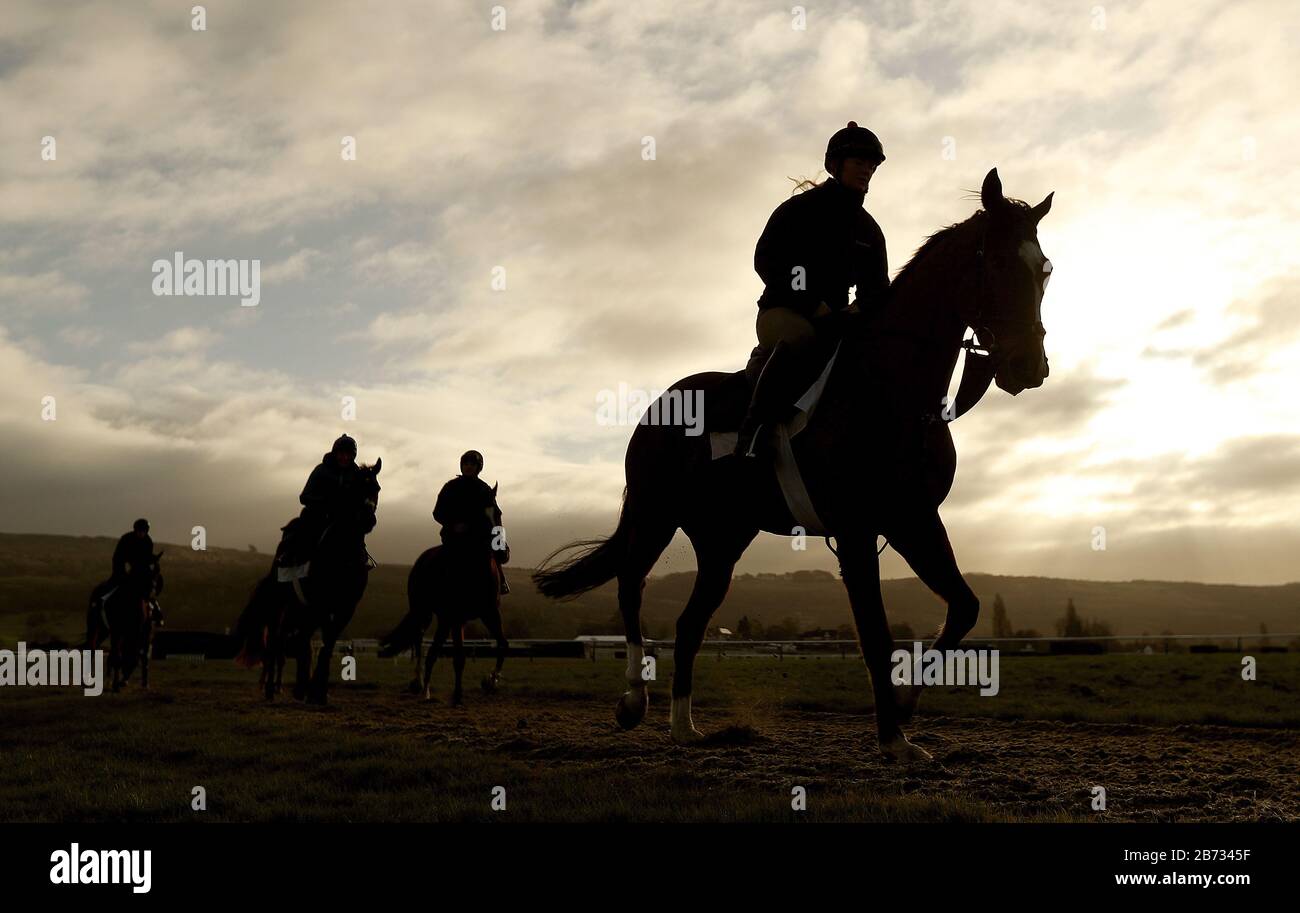 Pferde im Galopp am vierten Tag des Cheltenham Festivals auf der Cheltenham Racecourse. Stockfoto