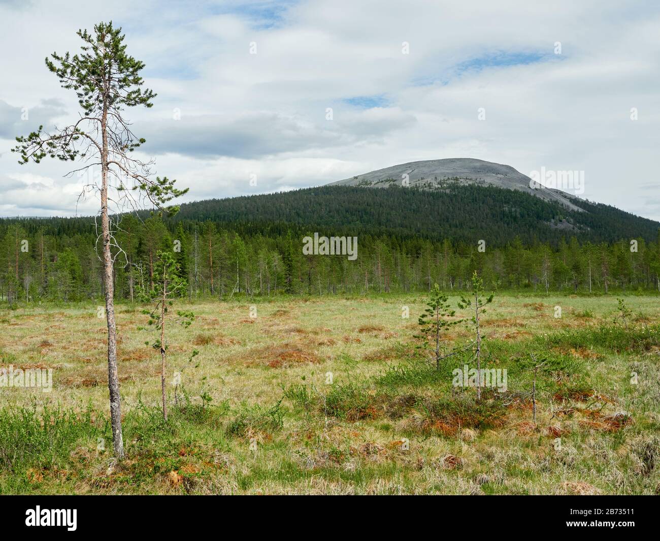 Die wunderschöne Sommerszene mit dem idyllischen Yllas ist in Akaslompolo, Kolari, Finnland, in den Hintergrund getreten Stockfoto