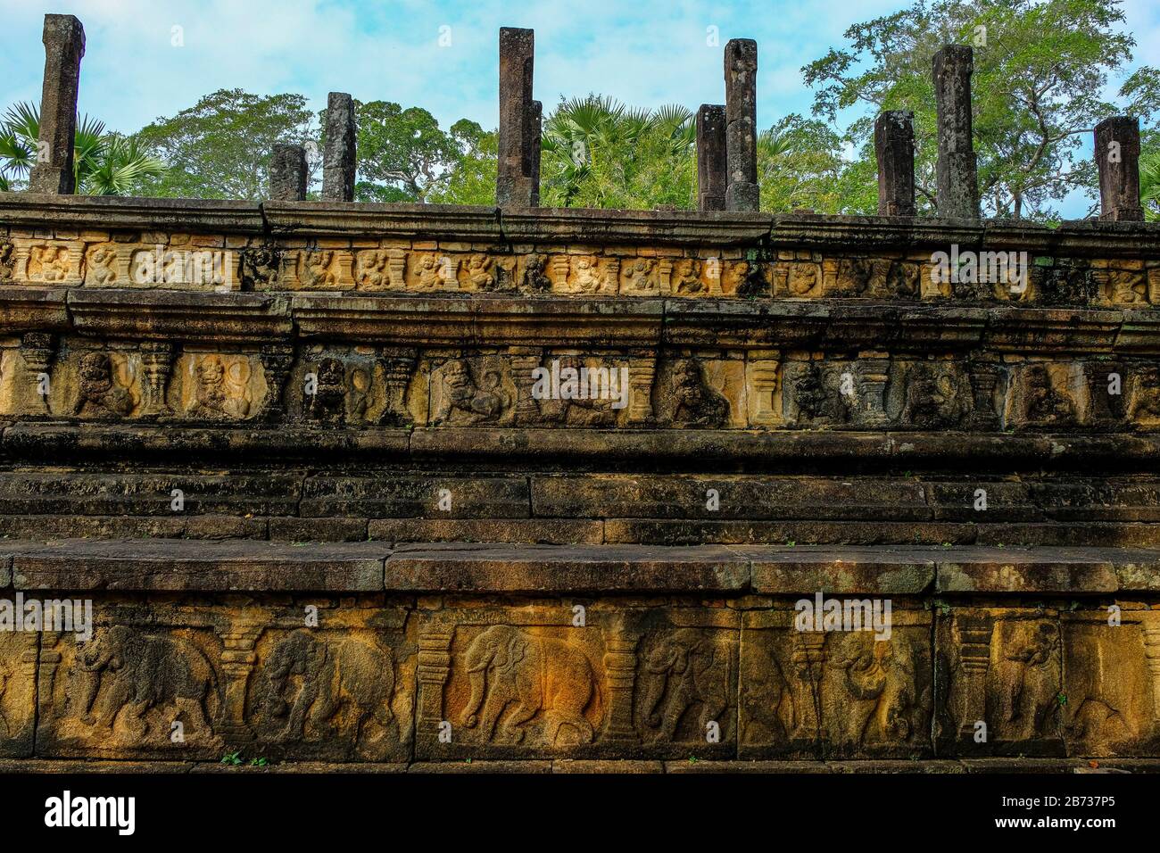 Der Elefantenfries im Zuschauerraum des königlichen Palastes von Parakramabahu I. in Polonnaruwa, Sri Lanka. Stockfoto