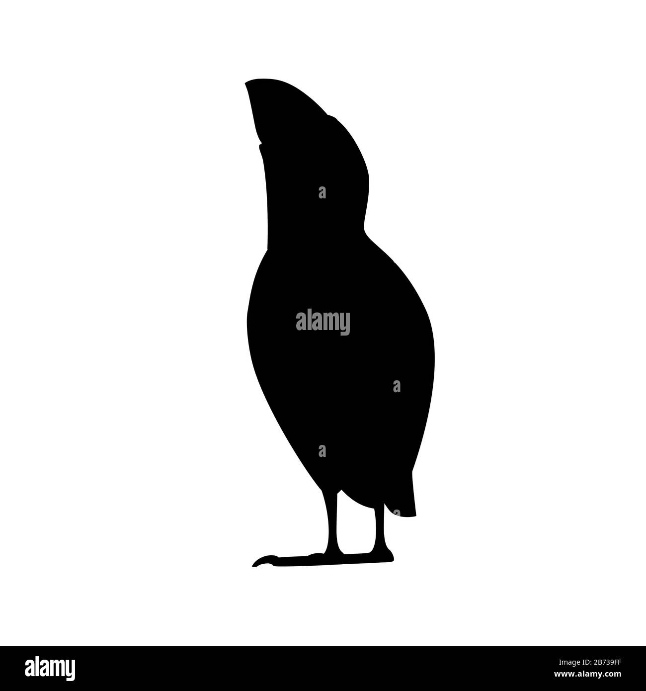 Schwarze Silhouette atlantischer Puffinvogel Blick auf Top-Cartoon Tierdesign flache Vektorgrafiken isoliert auf weißem Hintergrund. Stock Vektor