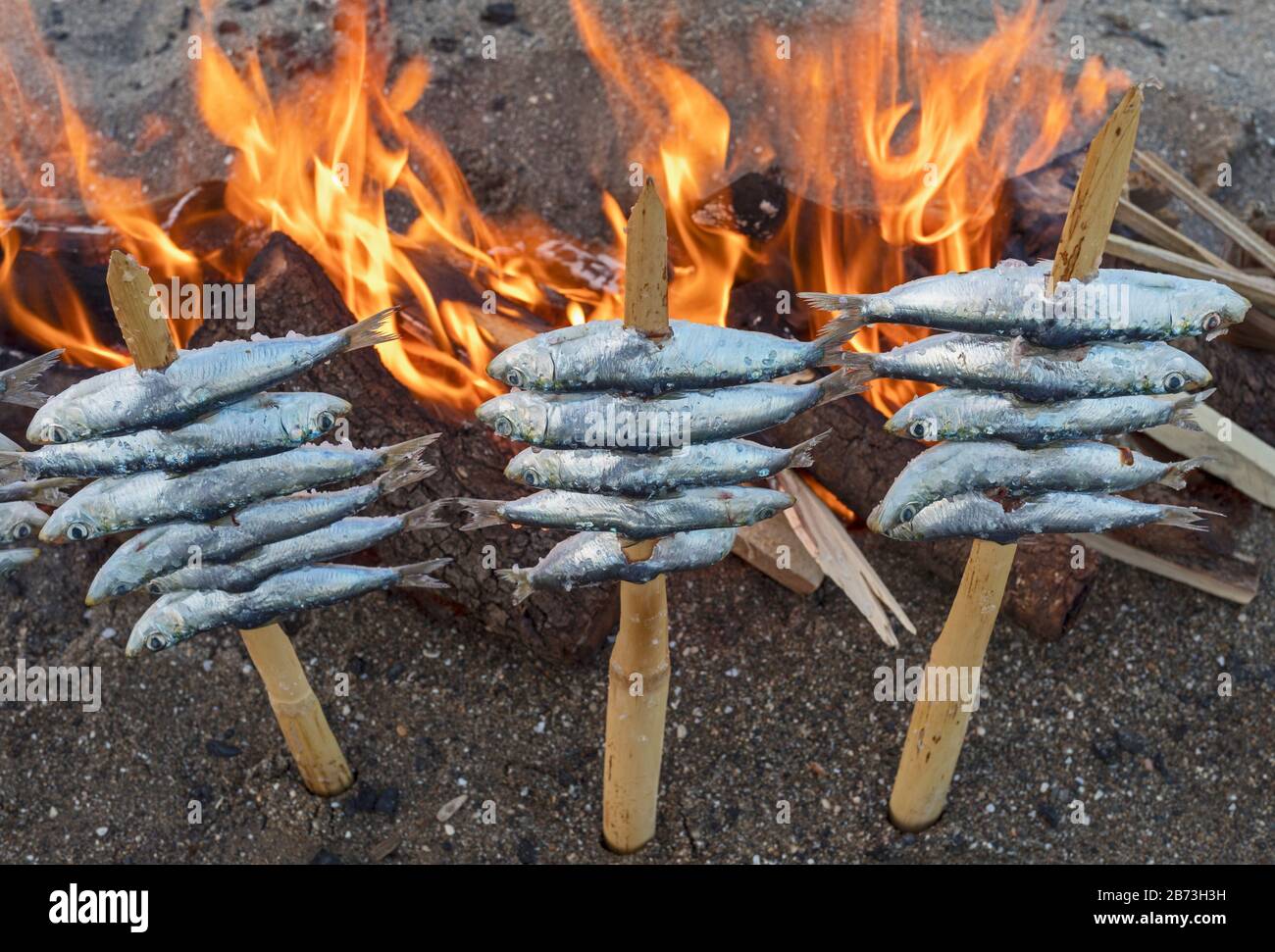 Spieße oder Espetos Sardinen am offenen Feuer rösten.  Typisches Gericht an der spanischen Mittelmeerküste. Stockfoto
