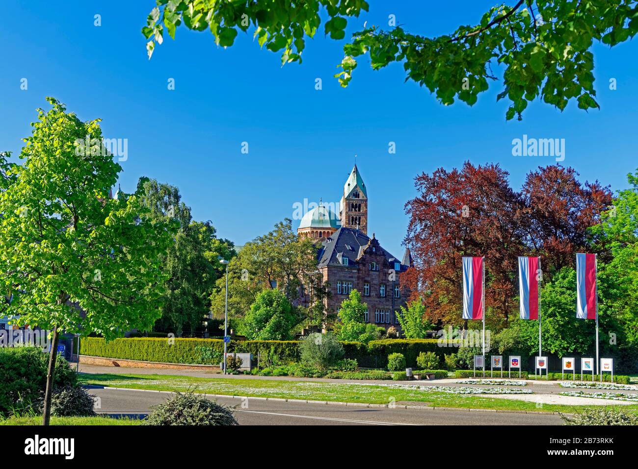 Deutschland, Rheinland-Pfalz, Speyerer, Domort, Stadt Schum, Ort der Partnerstädte, Betten von Tulpen, Gebäuden, Verwaltung, evangelische Kirche Stockfoto