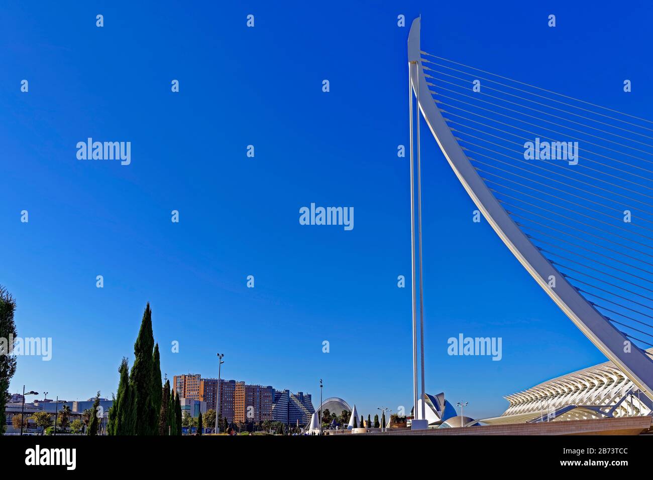 Spanien, Valencia, Valencia, Carrer d'Eduardo Primo Yúfera, Ciutat de les Arts i les Ciénci Stadt der Künste und der Wissenschaften, Gebäude, Museu de les C. Stockfoto