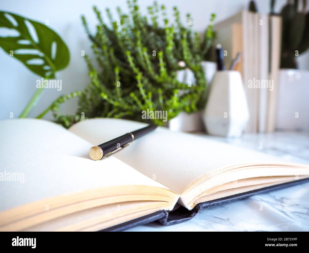 Mehrere Innenanlagen und ein leeres Notizbuch auf einem Büroschreibtisch in einem hellen, weißen Innenraum für eine stressfreie Arbeitsumgebung Stockfoto
