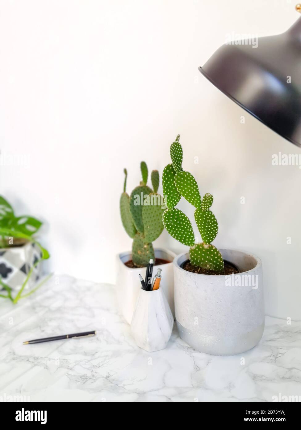 Weißer, sauberer Schreibtisch mit zahlreichen grünen Pflanzen für eine entspannende Arbeitsumgebung ohne Stress Stockfoto