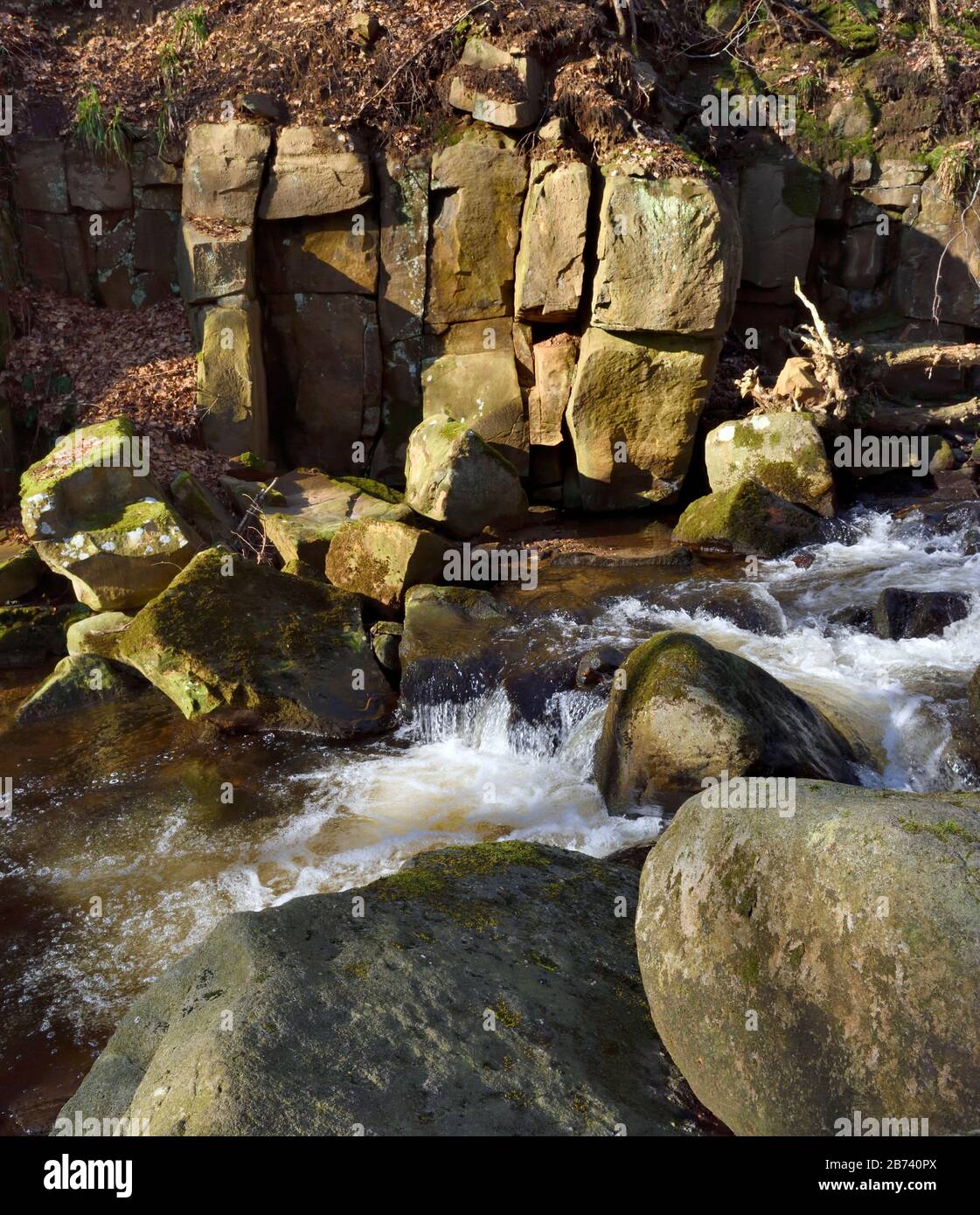 Burbage Brook, Padley Gorge, Longshaw Estate, Peak District National Park, Derbyshire, England, Großbritannien Stockfoto