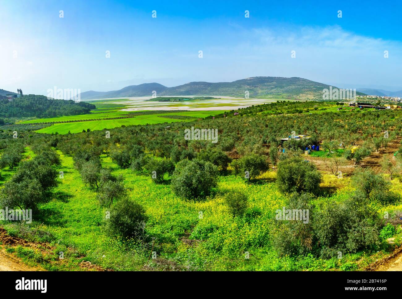 Winterblick auf Landschaft und Landschaft im Netofa-Tal, Galiläa, Israel Stockfoto