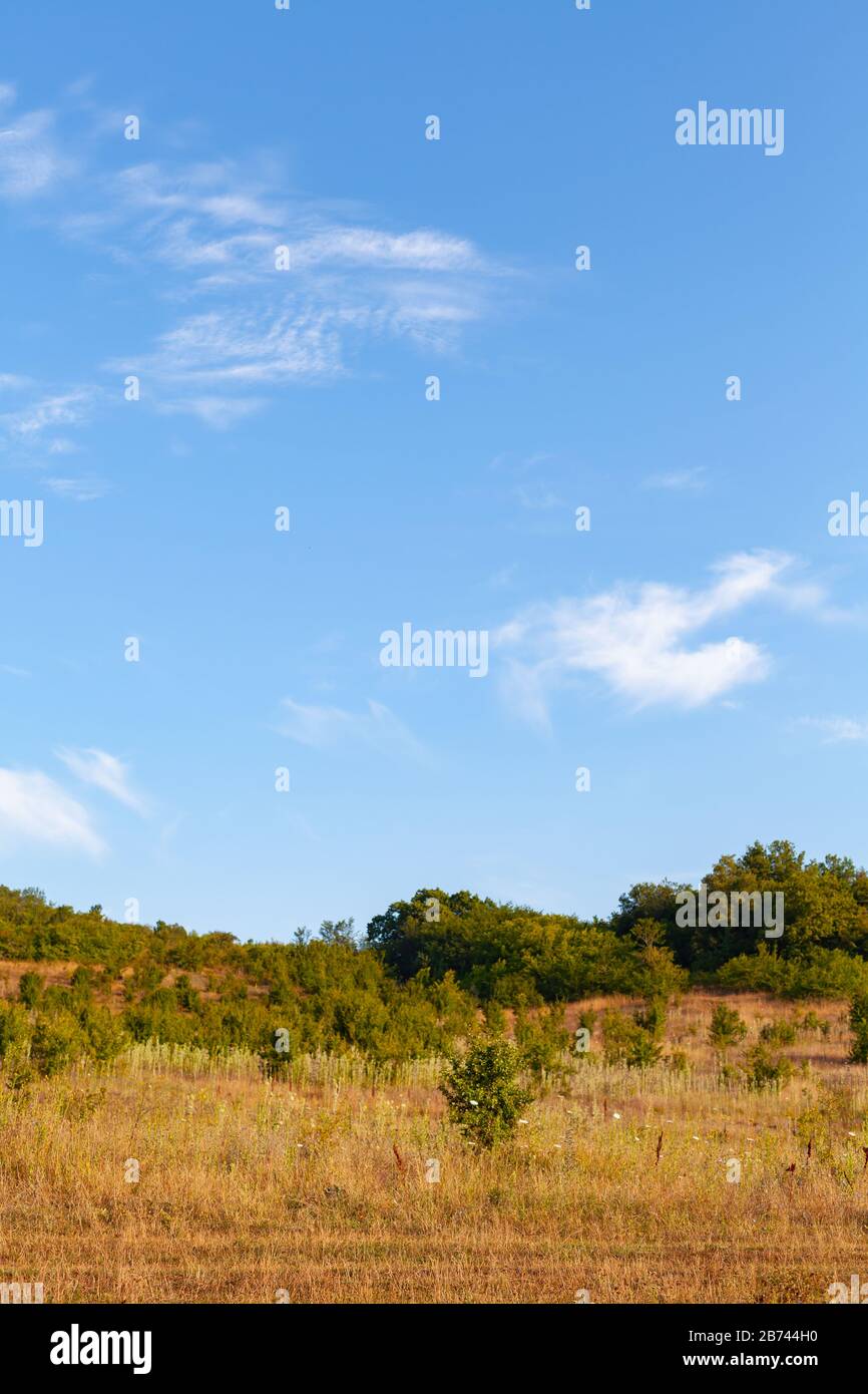 Krimlandschaft am sonnigen Sommertag unter bewölktem Himmel, vertikaler Fotohintergrund Stockfoto