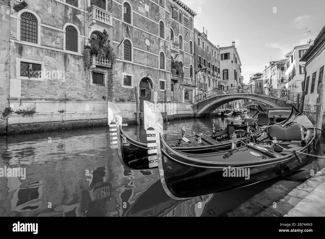 Schöne Schwarz-Weiß-Sicht auf typische Gondeln, die in einem Venetianischen Kanal, Fondamenta dei Preti, Venedig, Italien, geparkt sind Stockfoto