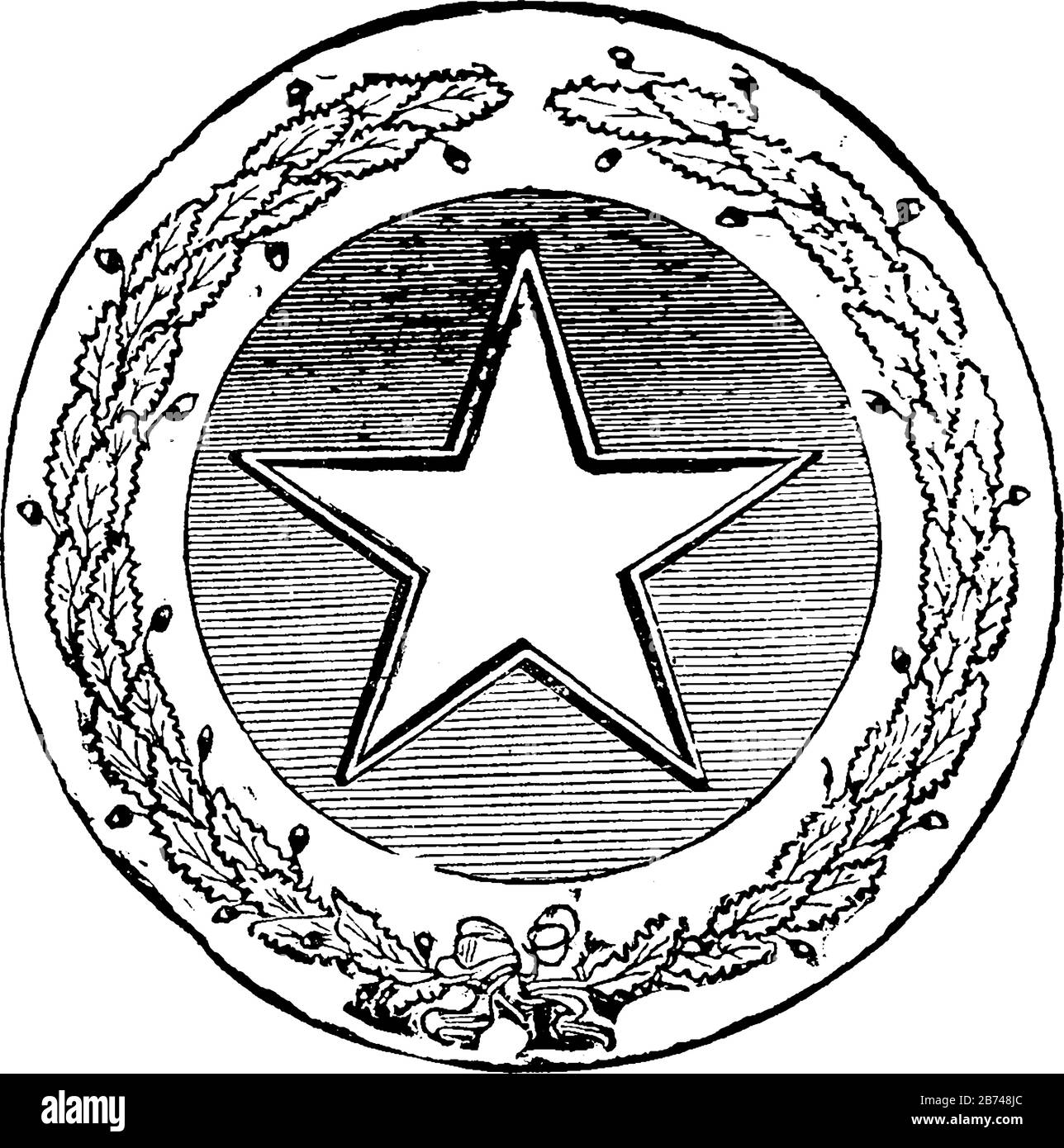 Das offizielle Siegel des US-Bundesstaats Texas im Jahr 1889, dieses kreisförmige Siegel hat einen Stern von fünf Punkten im Zentrum, EIN Stern wird von Ästen von tre umkreist Stock Vektor