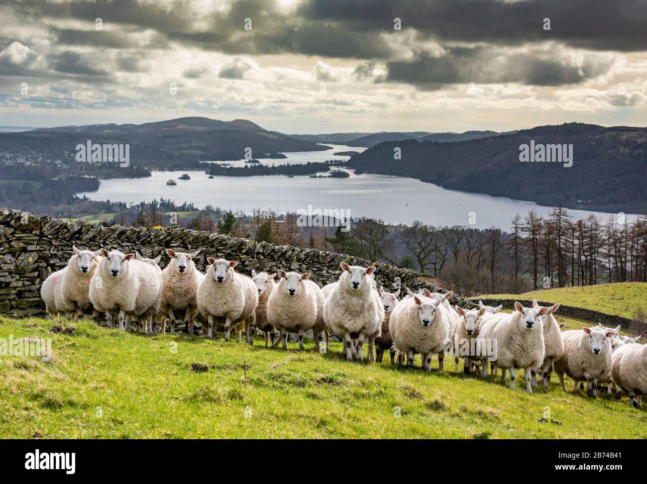 Troutbeck, Windermere, Cumbria, Großbritannien. März 2020. Aberfield überquert am schönen Tag die Kulisse von Lake Windermere, Troutbeck, Windermere, Cumbria, bevor am Wochenende wieder Regenprognosen gemacht werden. Kredit: John Eveson/Alamy Live News Stockfoto