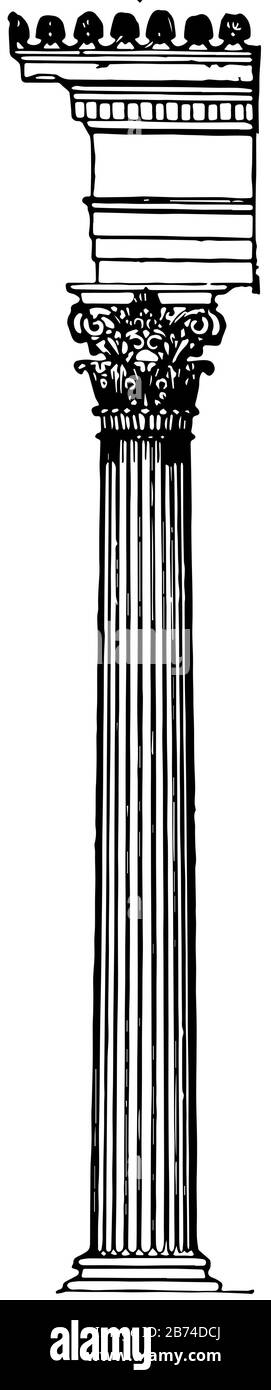 Korinthische griechische Säule, schlank, gerillt, zwei, Reihen, Akanthus, Blätter, Vintage-Zeichnung oder Gravurzeichnung. Stock Vektor