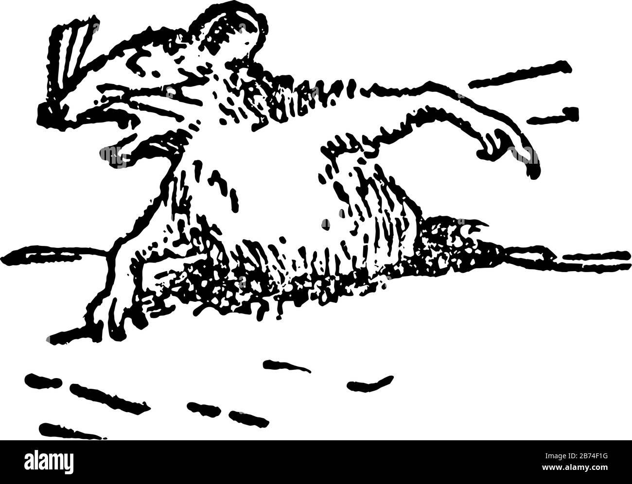 Eine Maus, eine Vintage-Linie oder eine Gravurzeichnung Stock Vektor Eine Maus, eine Vintage-Linie oder eine Gravurzeichnung Stock Vektor
